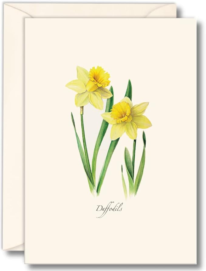 Earth Sky + Water - Daffodils Notecard Set - 8 Blank Cards with Envelopes