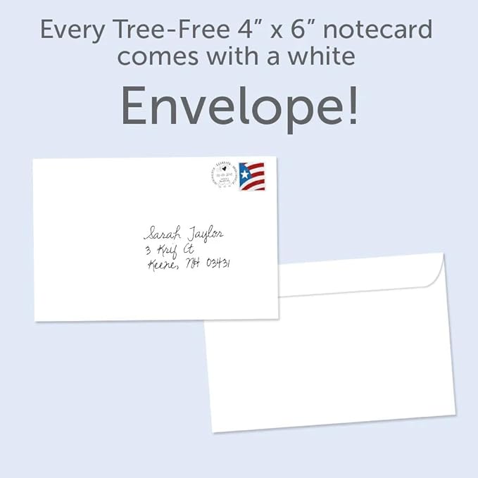 Tree-Free Greetings - All Occasion Cards - Artful Designs - 12 Greeting Cards + White Envelopes - Made in USA - 100% Recycled Paper - 4 x 6 - Vibrant Sun (FS56328)