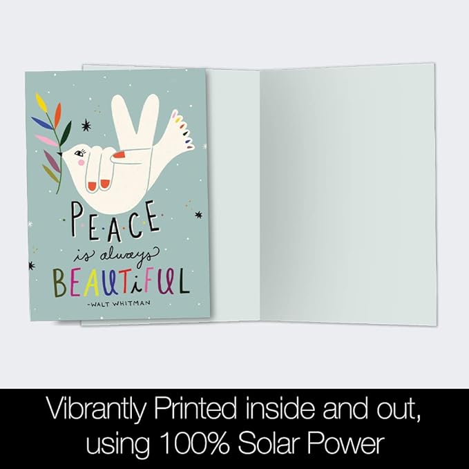 Tree-Free Greetings - All Occcasion Cards - 12 Cards + 12 White Envelopes - Made in USA - 100% Recycled Paper - 4"x6" - Beautiful Peace (FS54553)