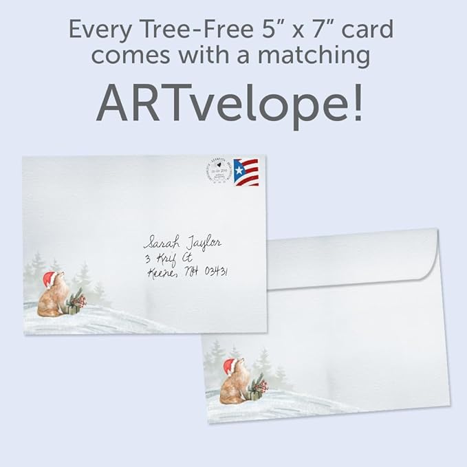 Tree-Free Greetings - Happy Holidays Greeting Cards - Artful Designs - 12 Cards + Matching Envelopes - Made in USA - 100% Recycled Paper - 5"x7" - Piled Wild Watercolor (HP60625)