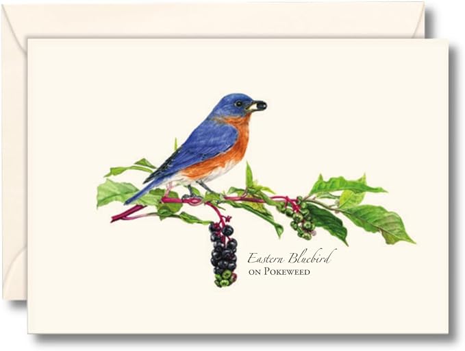 Earth Sky + Water - Bluebird on Pokeweed Notecard Set - 8 Blank Cards with Envelopes