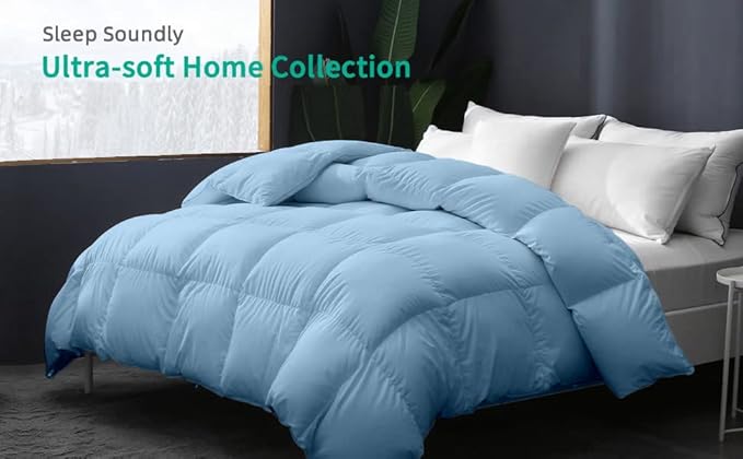 9.8 NEWTON Eco Friendly Oversized King Comforter 120x132 Down Alternative for All Season,Light Blue Quilted Duvet Insert with All Side Corner Tabs Microfiber Silicon Mix 700+ Fill Power Comforter