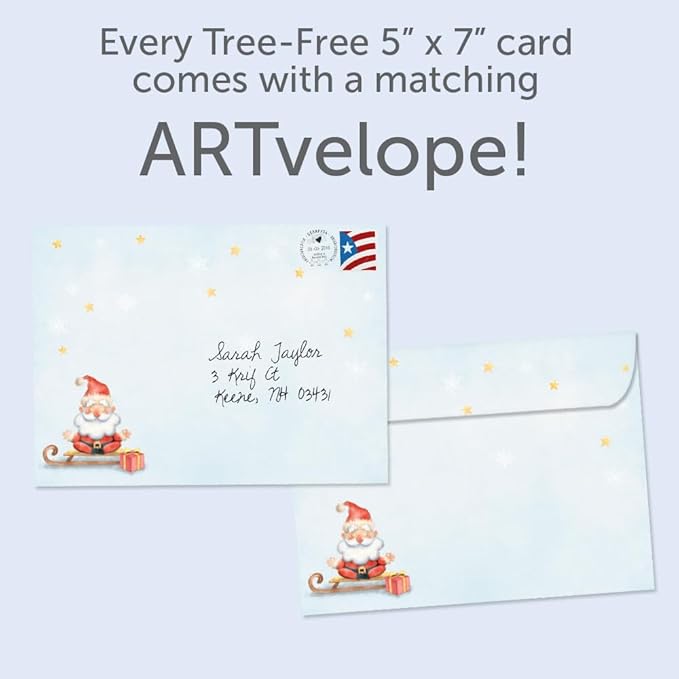 Tree-Free Greetings - Christmas Greeting Cards - Artful Designs - 12 Cards + Matching Envelopes - Made in USA - 100% Recycled Paper - 5"x7" - Nama Sleigh (HP60532)