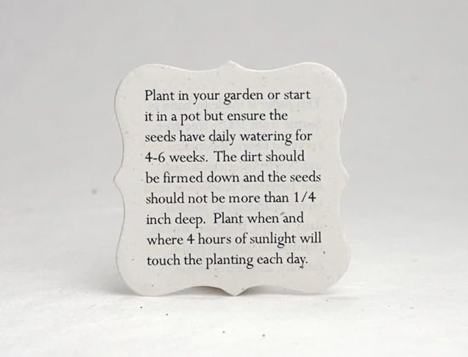 Of The Earth Handmade Paper - Wildflower Seed Paper House Shape Cards - w/Seeds & Petals - 5" x 7" - Set of 8 - Guides & Envelopes Included (61s Marigold & Stock)