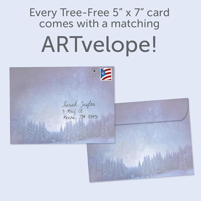 Tree-Free Greetings - Winter Solstice Greeting Cards - Artful Designs - 1 Card + Matching Envelopes - Made in USA - 100% Recycled Paper - 5"x7" - Peace In Winters Night (GO64246)