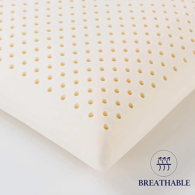 JOTOM 100% Natural Talalay Latex Sleeping Bed Pillow - Luxury Soft Queen Size Pillow for Side, Back, and Stomach Sleepers - Removable Breathable Cotton Cover (Queen Size)