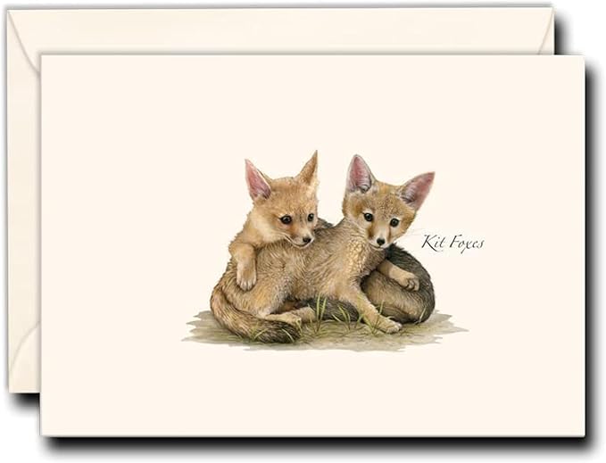 Earth Sky + Water - Kit Foxes Notecard Set - 8 Blank Cards with Envelopes