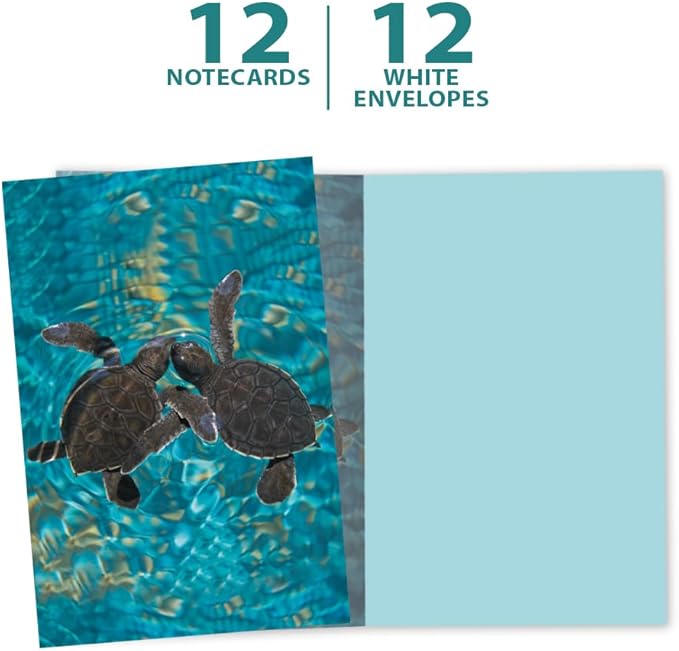 Tree-Free Greetings EcoNotes 12 Count Baby Sea Turtles All Occasion Notecard Set with Envelopes, 4 x 6 Inches (FS56932)