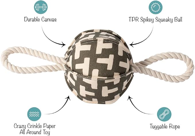 Fringe Studio Pulling You in Odette Olive 3D Canvas Dog Toy with Tuggable Rope, PetShop Collection (523040)
