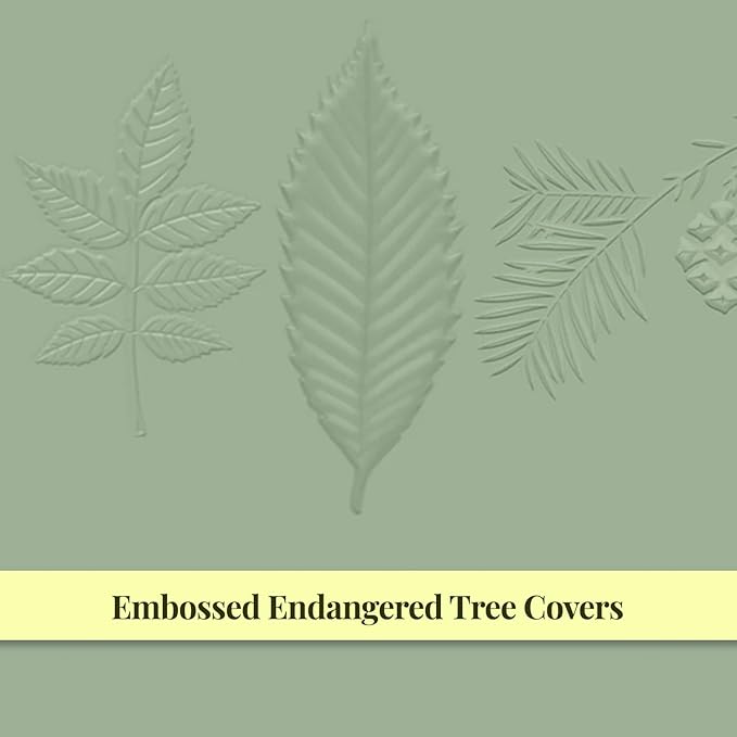 New Leaf Green Notes™ Memo Books, Sustainably Designed, 100% Recycled Paper, Chestnut Redwood and Ash Embossed Covers, Blank Lined and Dotted Page Mixed Pack, 3.5" x 5.5", 3 Books Per Pack