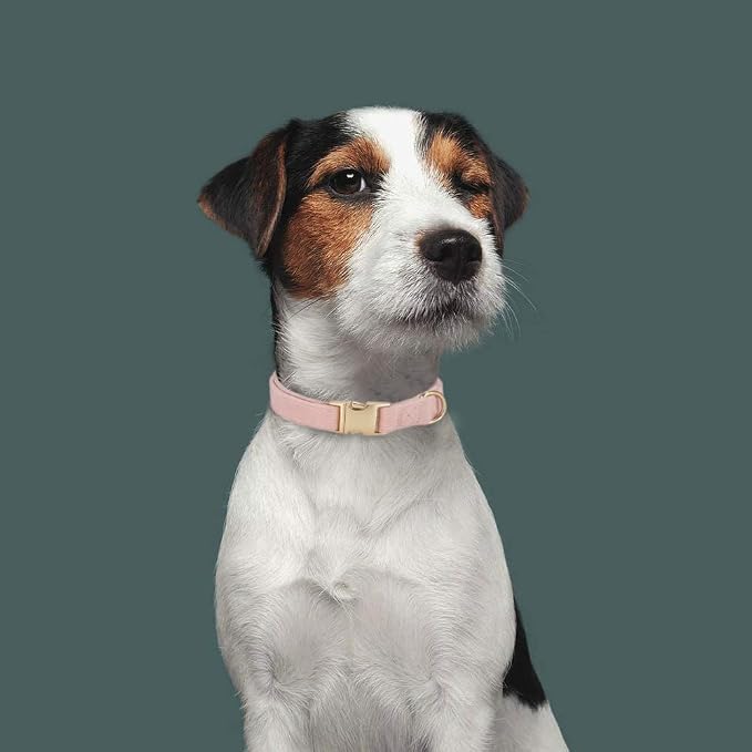 Soft Cotton Dog Collar with Metal Buckle Adjustable Heavy Duty Comfy Corduroy Collars for Small Medium Large Dogs,Light Pink,Large