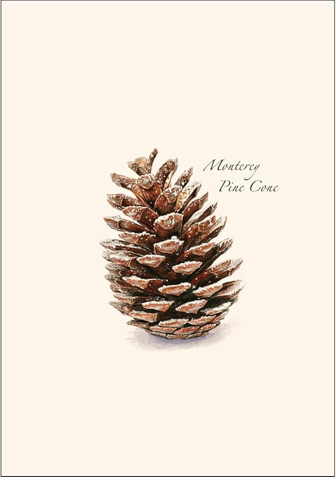 Earth Sky + Water - Pine Cone Notecard Set - 8 Blank Cards with Envelopes
