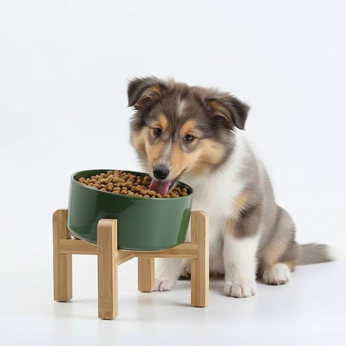 Petygooing Elevated/Raised 15°Slanted Ceramic Dog Bowl for Small and Medium Breeds, Tilted Anti Slip Pet Feeding Bowl,Food Water Dish with Stand for Cats and Dogs (28 OZ/3.6 Cups) Rust Green