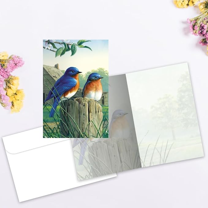 Tree-Free Greetings - All Occasion Cards - Artful Designs - 12 Greeting Cards + White Envelopes - Made in USA - 100% Recycled Paper - 4 x 6 - Morning Bluebirds (FS66817)
