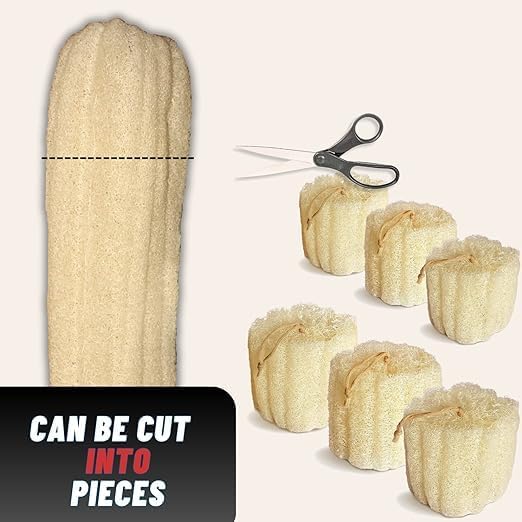Whole Egyptian Loofah100% Natural Organic Loofah Exfoliating Scrubber for Shower, Natural Loofah Sponge Body Scrubber, for Men and Women (Super Jumbo 26"" - 30""), Cream White