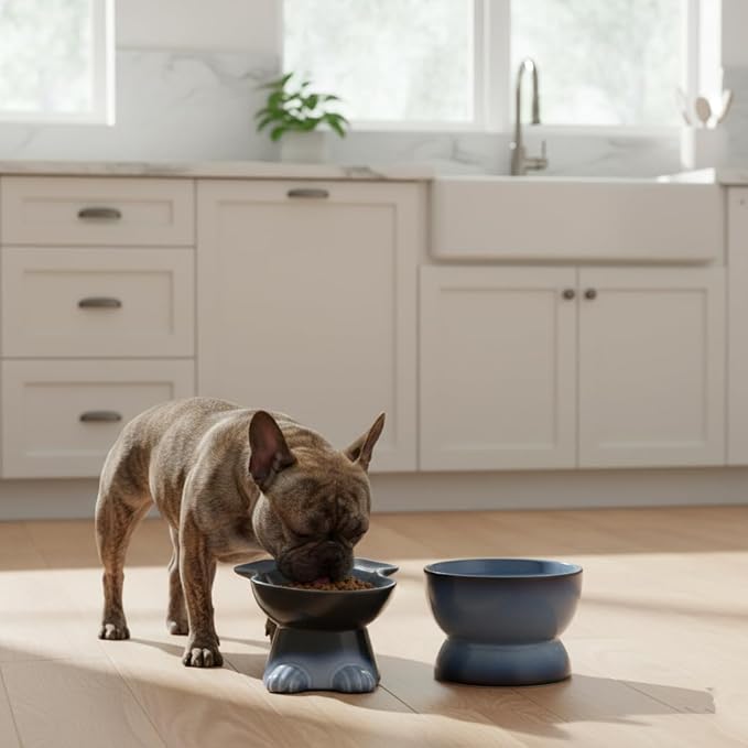Nihow Dog Food & Water Bowls: Elevated Ceramic Bowls for Medium/Small Dog | Food Safe Raised Puppy Bowls - Gray Pet Bowl for Protecting Pet's Spine (Set of 2)