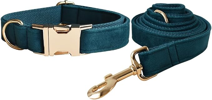 Love Dream Velvet Dog Collar and Leash Set, Soft & Comfy Adjustable Dog Leash and Collar with Heavy Duty Metal Buckle for Small Medium Large Dogs Training & Walking (Medium, Peacock Green)