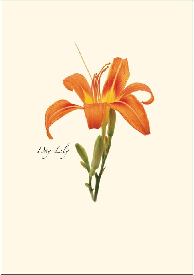 Earth Sky + Water - Wildflower Assortment Notecard Set - 8 Blank Cards with Envelopes (4 each of 2 styles)