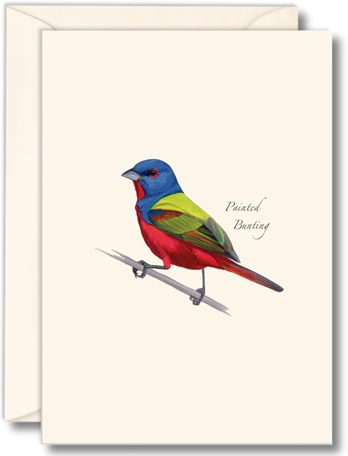 Earth Sky + Water - Painted Bunting Notecard Set - 8 Blank Cards with Envelopes