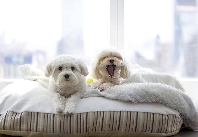 Essentia Kingston Luxury Organic Pet Bed - Medium
