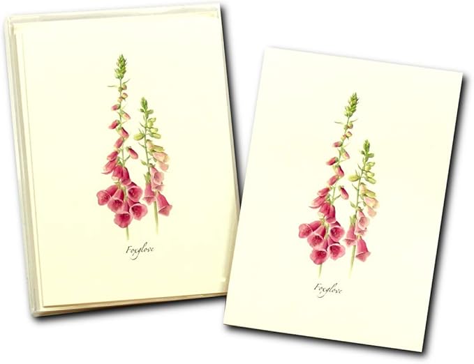 Earth Sky + Water - Foxgloves Boxed Notes