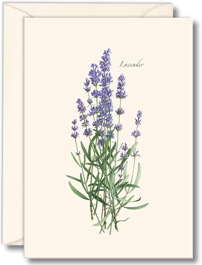 Earth Sky + Water - Lavender Notecard Set - 8 Blank Cards with Envelopes