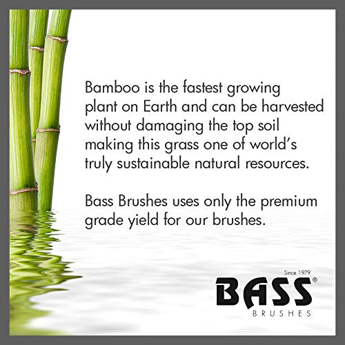 Bass Brushes | Style & Detangle Pet Brush | Alloy Pin | Bamboo Handle | Large Oval | Striped Finish | Model A10-SB