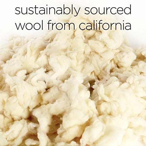 Molly Mutt Sheepy Wool Crate Mat - 100% Cotton Canvas Cover with Temperature-Regulating 100% Natural Wool-Filled Insert Dog Bed - Soft & Supportive Wool-Filled Bed - (24"x18"x2.5", Everywhere)