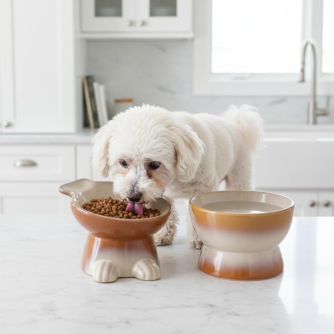 Nihow Dog Food & Water Bowl Set: Elevated Ceramic Dog Bowls for Medium/Small Size Dog - Food Safe Raised Puppy Bowls - Brown Pet Bowl for Protecting Pet's Spine (Set of 2)