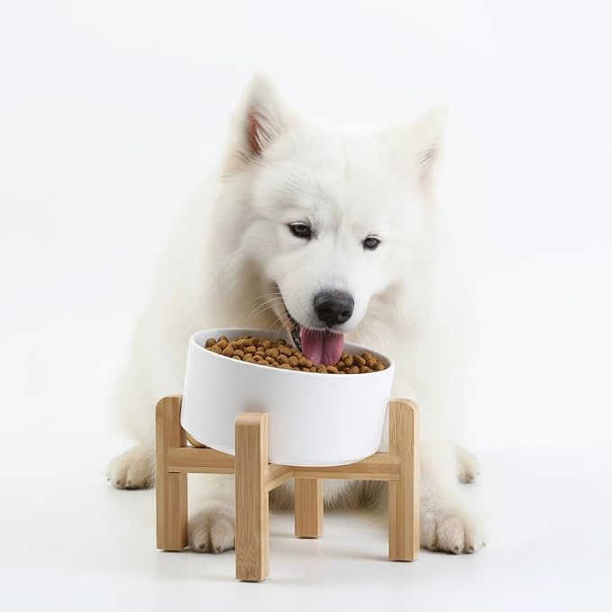 Petygooing White Elevated/Raised 15°Slanted Ceramic Dog Bowl for Small and Medium Breeds, Tilted Anti Slip Pet Feeding Bowl,Food Water Dish with Stand for Cats and Dogs (28 OZ/3.6 Cups)
