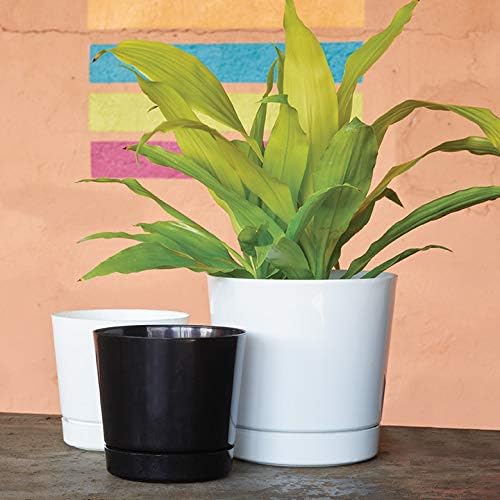 Novelty Majestic Full Depth Round Cylinder Pot, Glossy Black, 6-Inch (10068)