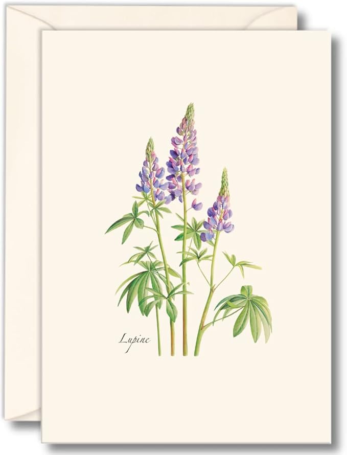 Earth Sky + Water - Lupine Notecard Set - 8 Blank Cards with Envelopes