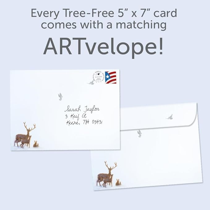 Tree-Free Greetings - Christmas Greeting Cards - Artful Designs - 12 Cards + Matching Envelopes - Made in USA - 100% Recycled Paper - 5"x7" - Oh Holy Night (HP60642)