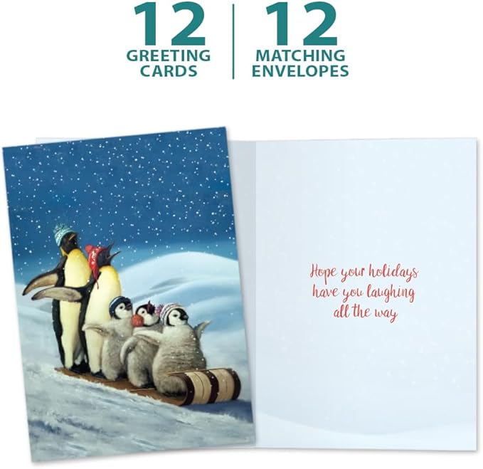 Tree-Free Greetings - Happy Holidays Greeting Cards - Artful Designs - 12 Cards + Matching Envelopes - Made in USA - 100% Recycled Paper - 5"x7" - Your Day Your Way (HP60651)