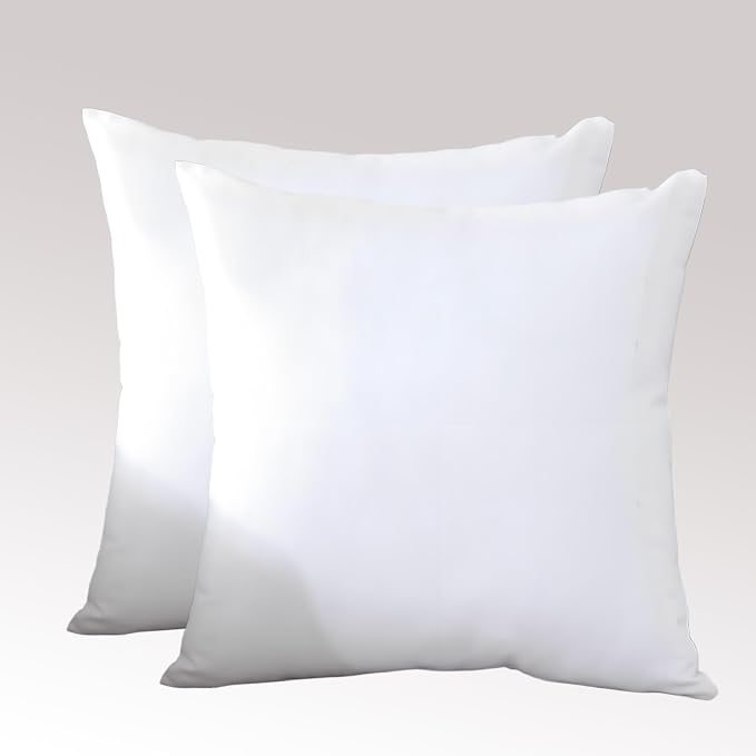 TAOSON Set of 2 White Decorative Throw Pillow Covers 18x18 Inch - 100% Cotton Canvas Square Cushion Cases with Hidden Zipper, Soft Solid Pillowcases (No Insert)