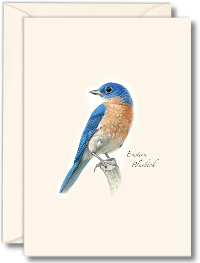 Earth Sky + Water - Bluebird Notecard Set II - 8 Blank Cards with Envelopes