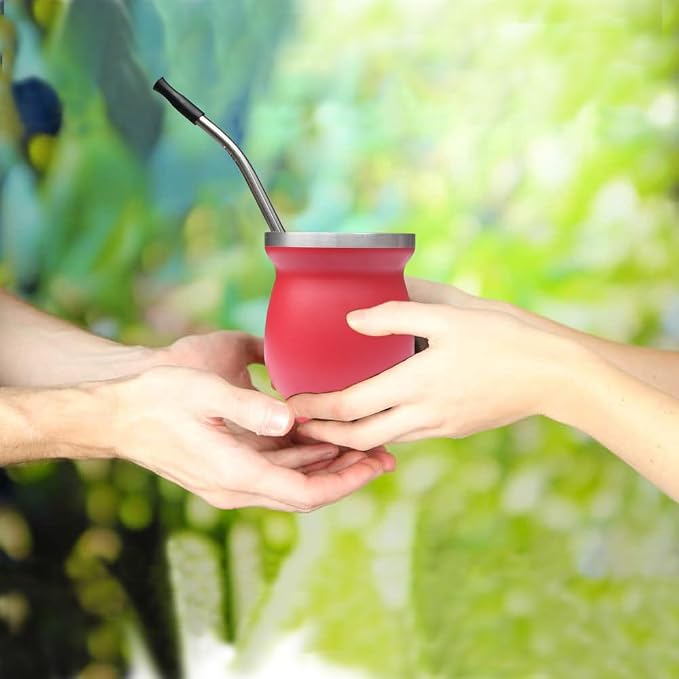 Reusable Bombilla Yerba Mate Straw - Stainless Steel Removable Spoon Style Filter with Soft Silicone Tip - Metal Straw for Drinking Loose Leaf Tea, Coffee - Includes Cleaning Brush by Beruth（Black）