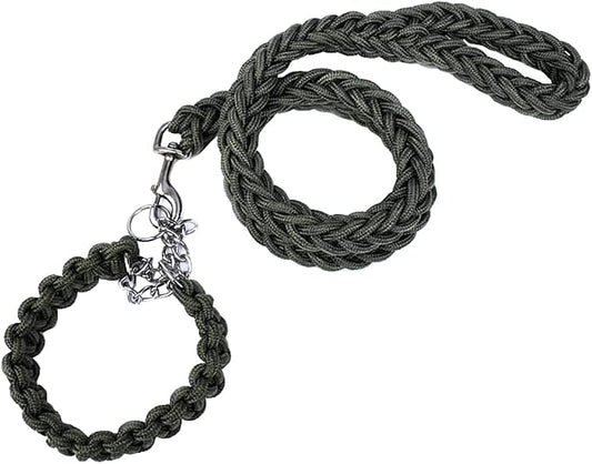 Love Dream Dog Collar and Leash Set, Heavy Duty Nylon Braided Rope Strong 4 FT Dog Leash and Martingale Training Collar for Small Medium Large Dogs Training and Walking (Green)