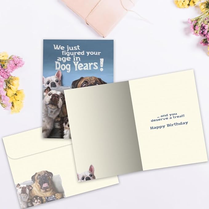 Tree-Free Greetings - Birthday Card - Artful Designs - 1 Card + Matching Envelope - Made in USA - 100% Recycled Paper - 5 x 7 - Dog Years (GO61211)