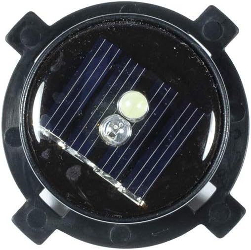 Echo Valley 10-GLUV LunaLite Globe Caplight, Ulraviolet