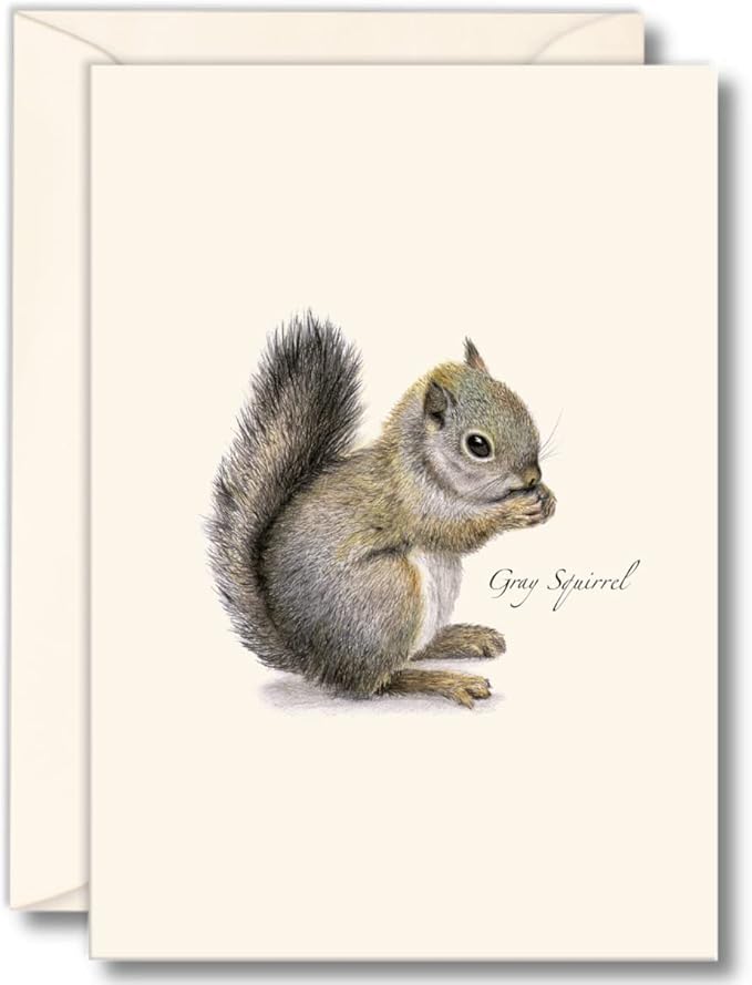 Earth Sky + Water - Gray Squirrel Notecard Set - 8 Blank Cards with Envelopes