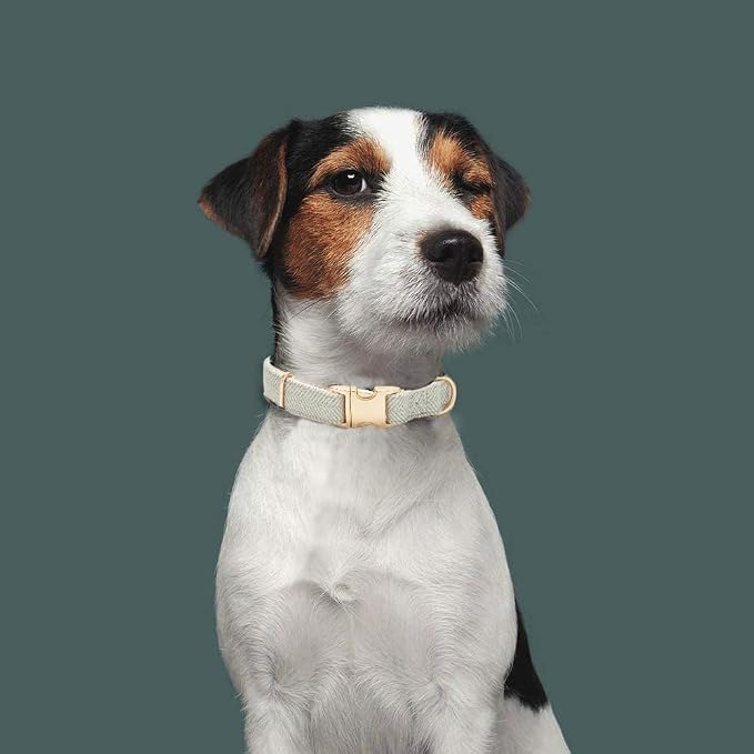 Luxury Soft Cotton Tweed Fabric Dog Collar & Leash Set with Gold Buckle – Durable Fabric, Stylish Design for Everyday Walks(Large Grey)