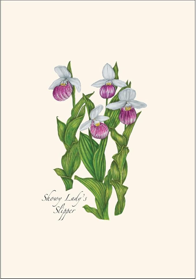 Earth Sky + Water - Native Orchid Assortment Assortment Notecard Set - 8 Blank Cards with Envelopes (2 each of 4 styles)