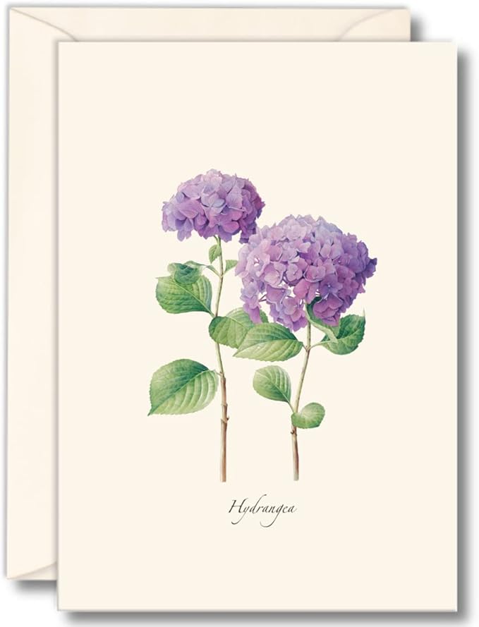 Earth Sky + Water - Hydrangea Notecard Set II - 8 Blank Cards with Envelopes