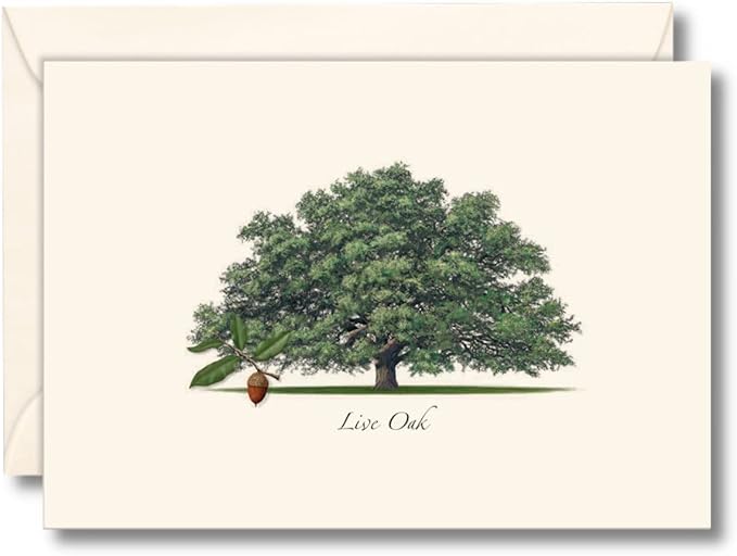 Earth Sky + Water - Live Oak Notecard Set - 8 Blank Cards with Envelopes