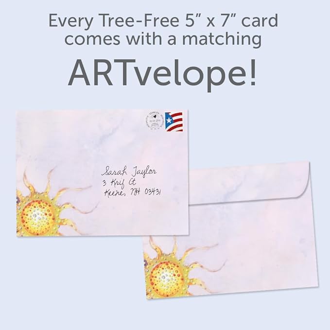 Tree-Free Greetings Another Glorious Trip Birthday Card - 1 Recycled 5x7 Card & Matching Envelopes, Thick Cardstock, Made in USA - Artfully Painted Sun