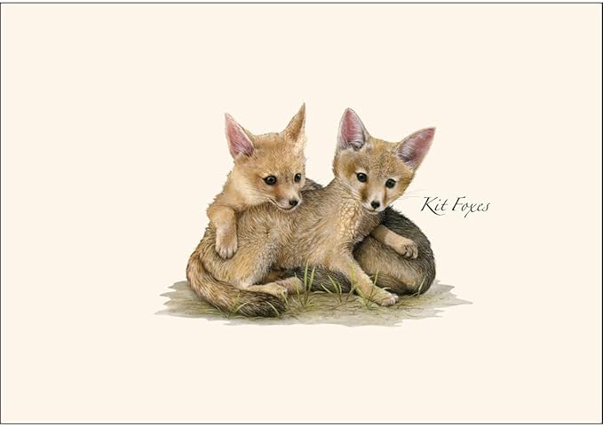 Earth Sky + Water - Kit Foxes Notecard Set - 8 Blank Cards with Envelopes