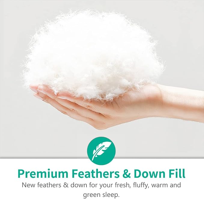 APSMILE Luxury All Season Down Feather Fibers Comforter Full/Queen Size Duvet Insert - 100% Organic Cotton, High Fill Power Medium Warmth, (Ivory White, 90X90)