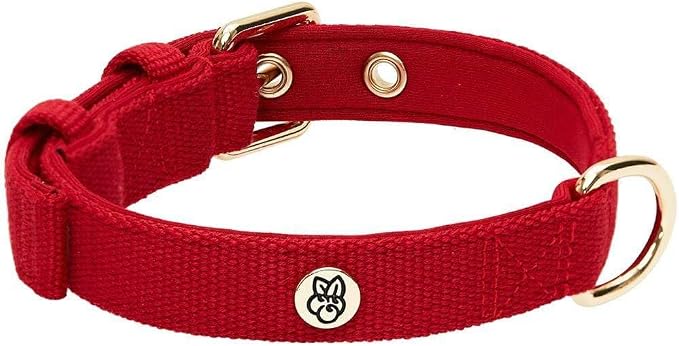 Blueberry Pet Classic Matching Dog Collar & Rope Leash Set in Red, Adjustable Neoprene for Small Dogs - Puppy Essentials, Heavy Duty Rope Dog Leashes, 4 ft Leash, Award Winning Brand