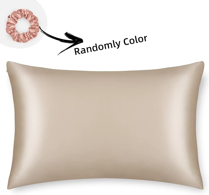 ALASKA BEAR Natural Silk Pillowcase, Hypoallergenic, 19 Momme, 600 Thread Count 100 Percent Mulberry Silk, King Size with Hidden Zipper (1,Champagne Gold)